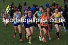 Womens Under-20s, 2024 CAU Inter Counties Cross Country Champs., Wollaton Park, Nottingham. Photo: David T. Hewitson/Sports for All Pics